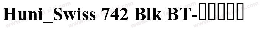 Huni_Swiss 742 Blk BT字体转换